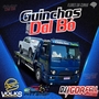 Cd Guinchos Dal Bo By Dj Igor Fell