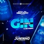 Gin a Festa - DJ Juninho Catozzi