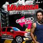 CD F250 Vaidosa Vol. 04 - Dj Gilberto é o Bixo