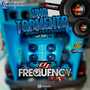 CD Uno Tormento - DJ Frequency Mix