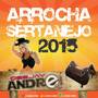 CD Arrocha Sertanejo Vol14 Dj Andrei SC