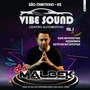 VIBE SOUND CENTRO AUTOMOTIVO VOL2
