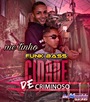 MC TINHO DA SUL CIDADE DE CRIMINOSO FUNK