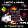 Saveiro A Braba Vol 2 Dj Fernando Mix sc