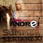 CD Summer Sertanejo Dj Andrei SC