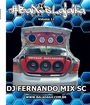 Cd BaixosLajaika Vol -12 Dj Fernando Mix