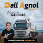 DALL AGNOL TRANSPORTES  MUSICAS GAUCHAS