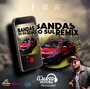 CD BANDAS DO SUL REMIX VOL 2 DJC