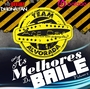 CD ART CAR AS MELHORES DO BAILE VOL 5