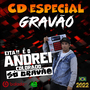CD ESPECIAL GRAVAO AUTOMOTIVO TOP