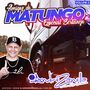 AMIGOS DO MATUNGO 5 ESPECIAL SERTANEJO