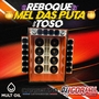 Reboque Mel das Puta do Toso By Dj Igor Fell