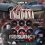 CD Meriva Ungidona - DJ Frequency Mix