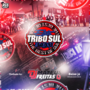 Cd Elite Tribo Sul 34 AM DJ Mateus Freit