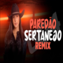 ELETRONEJO SERTANEJO REMIX