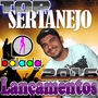 CD Top Sertanejo  2016