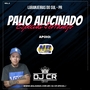 PALIO ALUCINADO ESPECIAL SERTANEJO
