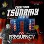 CD Carretinha Tsunamy - DJ Frequency Mix