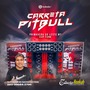 CARRETA PITBULL DJ FABRICIO SATISFACTION