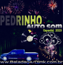 CD PEDRINHO AUTO SOM VOL2