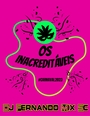 Bloco Os Inacreditaveis  Dj Fernando Mix
