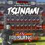 CD Paredao Tsunamy - DJFrequencyMix