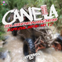 CD CANELA SUSPENSOES ESP SERTANEJO