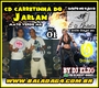 CD CARRETINHA DO JARLAN - SERTANEJO E AXE 2016