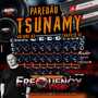 CD Paredao Tsunamy Vol2 - DJFrequencyMix