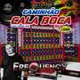CD Caminhao CalaBoca Vol2 - FrequencyMix