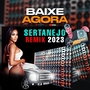 CD SERTANEJO REMIX 2023