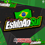 Cd Estilo Ao Sul By Dj Igor Fell
