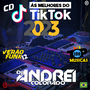 CD VERAO FUNK 12  TIK TOK TOP 100  2023