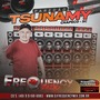 CD Paredao Tsunamy Vol03 -DJFrequencyMix