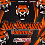 Tiger Pancadao Volume 3 By Dj Igor Fell