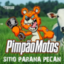 PIMPAO MOTOS E SITIO PARANA PECAN