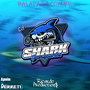 CD SHARK TRANSPORTES