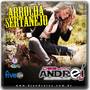 CD Arrocha Sertanejo Vol.07 - Dj Andrei SC