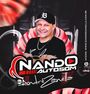 NANDO AUTO SOM SERTANEJO 2024