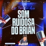 CD - SOM RUIDOSA DO BRIAN ESP FIM DE ANO
