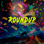 EQUIPE ROUNDUP - ESP DE CARNAVAL