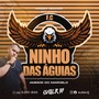 CD - Ninho das Aguias FC 2024