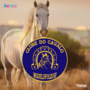 CLUBE DO CAVALO DE MIGUELOPOLIS SP