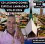 CD LUIZINHO GOMES ESPECIAL  LAMBADAO2024
