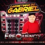 CD Carretinha do Gabriel -DJFrequencyMix
