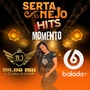 CD Sertanejo Hits do Momento 2025
