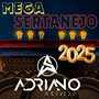 CD MEGA SERTANEJO 2025
