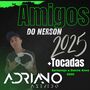CD AMIGOS DO NERSON 2025