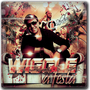 Dj Celso - CD  Wiggle a Festa ( Exclusivo )