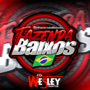 FAZENDA BAIXOS -2025- DJ WESLEY SANTOS